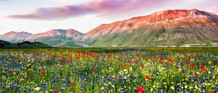 География регионов Италии: Умбрия