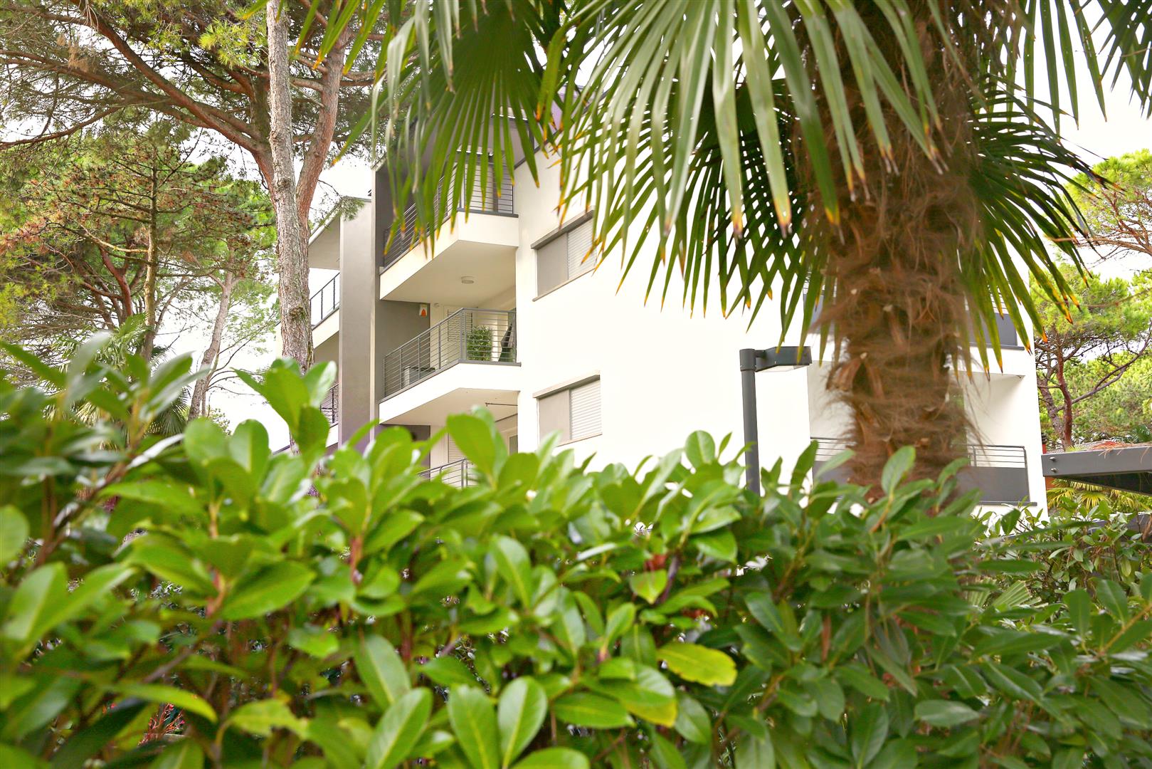 Новое предложение в Линьяно Пинета!