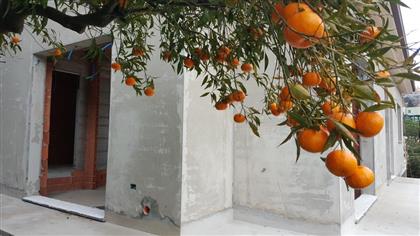 Дом в регионе Оспедалетти (Ospedaletti), Италия за  800 000 евро